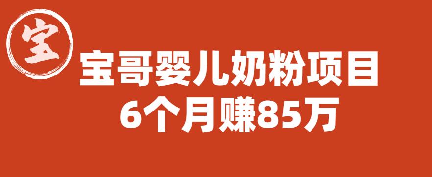 宝哥婴儿奶粉项目，6个月赚85w【图文非视频】【揭秘】-副业宝典
