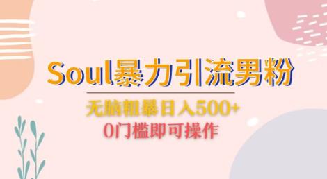 Soul暴力引流男粉玩法，无脑粗暴日入500＋，0门槛即可操作【揭秘】-副业宝典