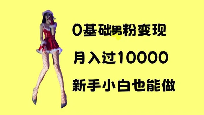 0基础男粉s粉变现，月入过1w+，操作简单，新手小白也能做【揭秘】-副业宝典