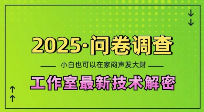 2025问卷调查最新工作室技术解密：一个人在家也可以闷声发大财，小白一天2张，可矩阵放大-副业宝典