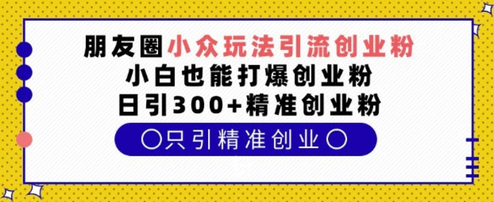朋友圈小众玩法引流创业粉，小白也能打爆创业粉，日引300+精准创业粉-副业宝典