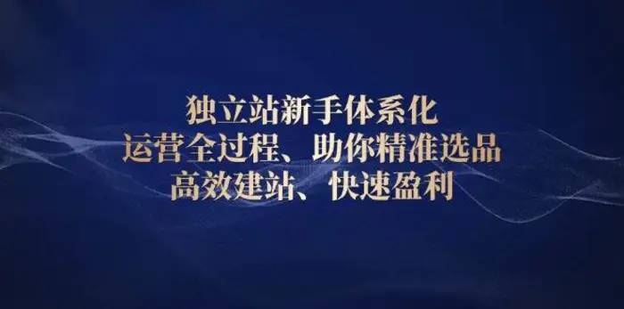 独立站新手体系化 运营全过程，助你精准选品、高效建站、快速盈利-副业宝典