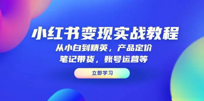 小红书变现实战教程：从小白到精英，产品定价，笔记带货，账号运营等-副业宝典