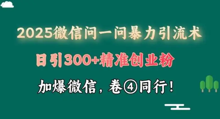 2025最新微信问一问暴力引流术揭秘，日引300+创业粉，单日变现四位数-副业宝典