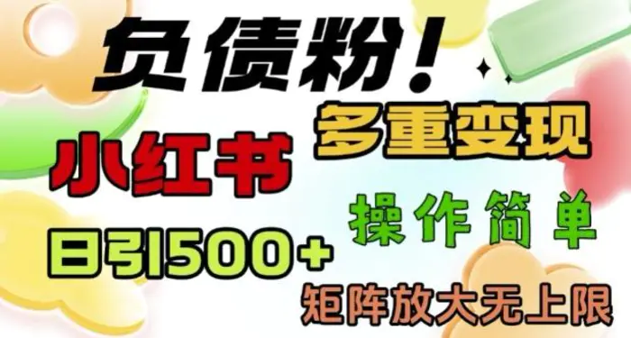 2月最新小红书日引500+负债粉，多重变现轻松过W，矩阵放大无上限-副业宝典
