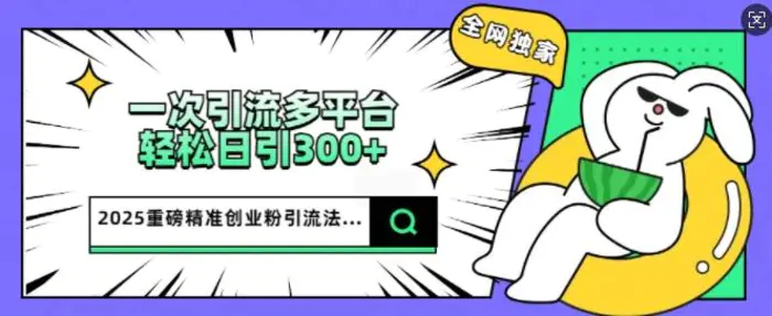 2025重磅全网独家引流法，一次多平台，轻松日引300+精准创业粉-副业宝典