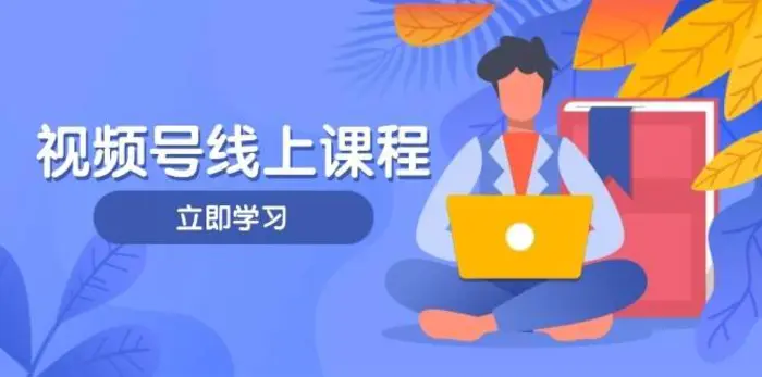 视频号实战课程，轻IP打造与运营技巧，掌握核心方法与策略-副业宝典