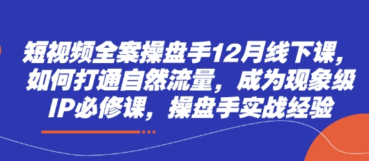 短视频全案操盘手12月线下课，如何打通自然流量，成为现象级IP必修课，操盘手实战经验-副业宝典