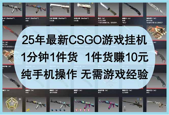 （14439期）25年最新CSGO游戏挂机，1分钟1件货，1件货赚10元 纯手机操作 无需游戏经验-副业宝典