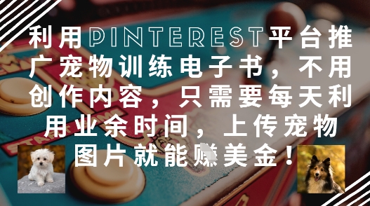 利用Pinterest平台推广宠物训练电子书，不用创作内容，只需要每天利用业余时间，上传宠物图片就能挣美金!-副业宝典