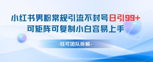小红书男粉常规引流不封号日引99+变现简单 可矩阵可复制小白容易上手-副业宝典