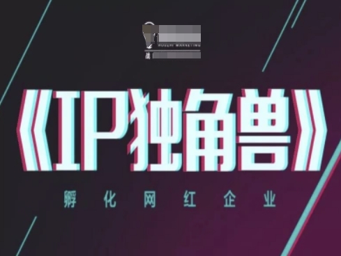 IP独角兽，孵化网红企业，ip教程-副业宝典