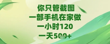 你只管截图，一部手机在家做，苹果安卓都可以，一天5张+-副业宝典