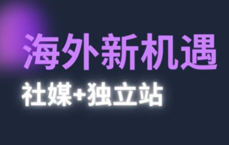 2025出海新机遇(社媒+独立站)，海外新机遇，实现独立站的高效运营与出海-副业宝典