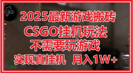 2025最新游戏搬砖，CSGO挂G，不需要玩游戏，实现真挂G，月入1W+-副业宝典