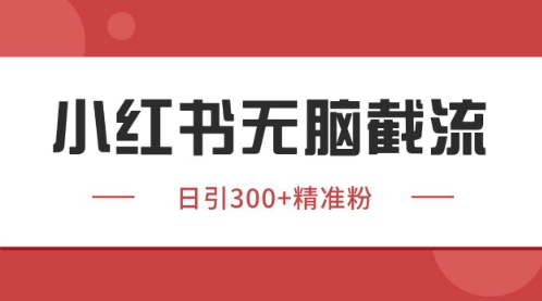 小红书只要你有同行就能获客，独家野路子获客玩法，暴力截流-副业宝典