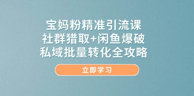 宝妈粉精准引流课，社群猎取+闲鱼爆破，私域批量转化全攻略-副业宝典