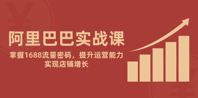 阿里巴巴实战课：掌握1688流量密码，提升运营能力，实现店铺增长-副业宝典