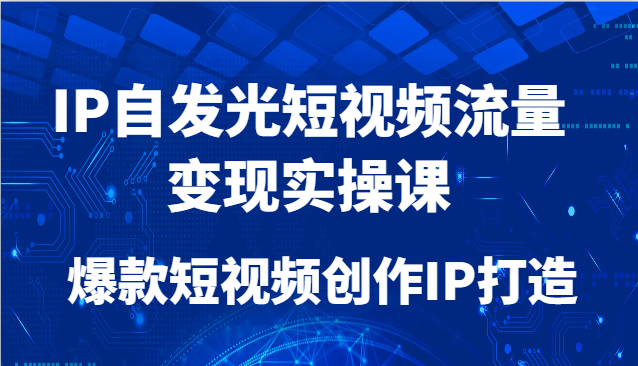 IP自发光短视频流量变现实操课，爆款短视频创作IP打造-副业宝典