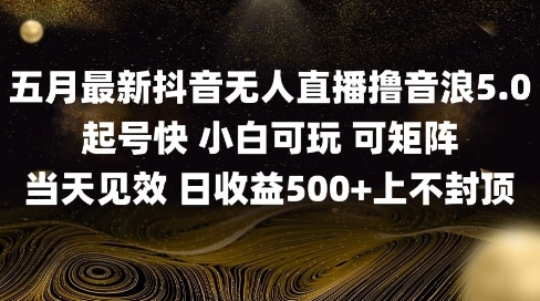 2025五月最新无人直播撸音浪单日产出5张+实操教程-副业宝典