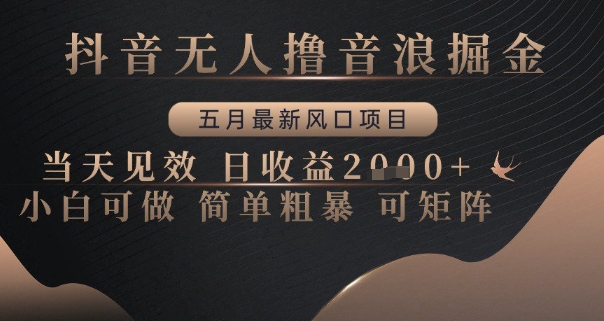 抖音无人撸音浪掘金，五月最新风口项目，当天见效，日收益多张，小白可做简单粗暴可矩阵-副业宝典