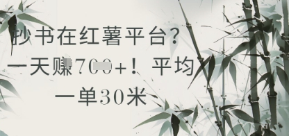 抄书在小红薯平台？平均一单30米，一天收益几张！-副业宝典