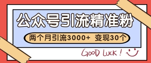公众号精准粉引流玩法，2个月3000+精准粉，变现30个W-副业宝典
