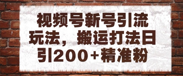视频号新号引流玩法，搬运打法日引200+精准粉，可矩阵放大-副业宝典