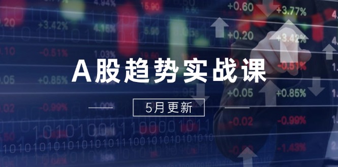 （14808期）A股趋势实战课：主力动向+政策红利，2025全年策略5月更新-副业宝典