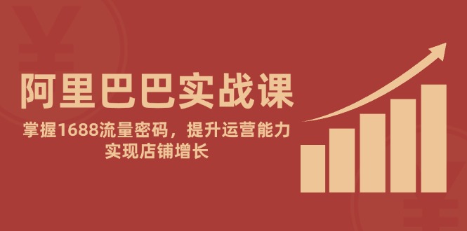 （14830期）阿里巴巴实战课：掌握1688流量密码，提升运营能力，实现店铺增长-副业宝典