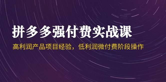 拼多多强付费实战课-44期，高利润产品项目经验，低利润微付费阶段操作-副业宝典