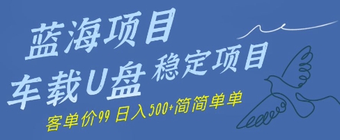 蓝海项目车载U盘稳定项目，挣的就是信息差，客单价99，日入几张简简单单-副业宝典