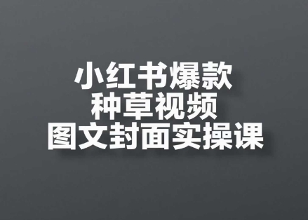小红书爆款种草视频图文封面实操课，​开店、选品、引流、变现全流程-副业宝典