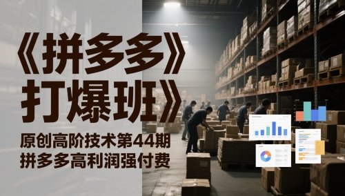 《拼多多打爆班》原创高阶技术第44期，拼多多高利润强付费-副业宝典