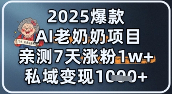 2025爆款 AI 老奶奶项目：亲测 7 天涨粉 1W+，私域变现 1k+-副业宝典