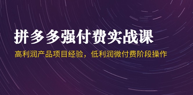 （14874期）拼多多强付费实战课-44期，高利润产品项目经验，低利润微付费阶段操作-副业宝典