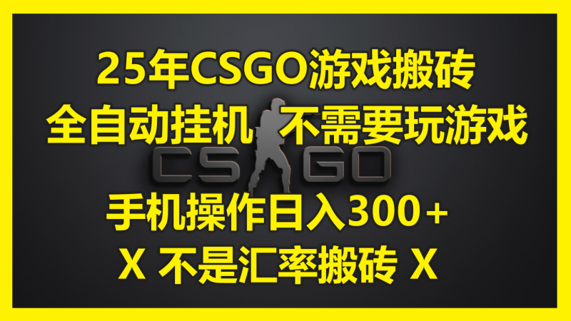 （14902期）25年CSGO游戏搬砖，全自动挂机，不需要玩游戏，手机操作日入300+。(不…-副业宝典