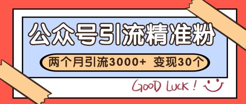 公众号精准粉引流玩法 2个月3000+精准粉 变现30万+-副业宝典