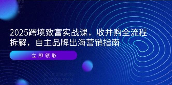 2025跨境致富实战课，收并购全流程拆解，自主品牌出海营销指南-副业宝典