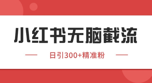 小红书截流同行客源，独家野路子获客玩法 日引200+暴力获客-副业宝典