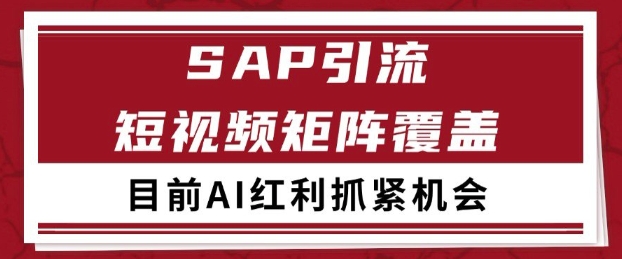 小红书某音sap赛道引流获客 自热矩阵日引200+-副业宝典