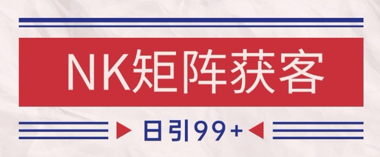小红书某音NK赛道引流获客 自热矩阵日引200+-副业宝典