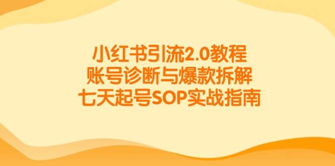小红书引流2.0教程，账号诊断与爆款拆解，七天起号SOP实战指南-副业宝典