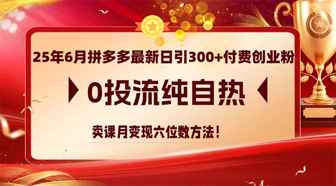 （14989期）25年6月拼多多最新日引300+付费创业粉，0投流纯自热 卖课月变现六位数方法-副业宝典