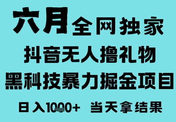 25年6月高爆抖音无人直播最新撸音浪掘金项目，门槛低小白可做，无脑日入1k，可矩阵放大-副业宝典