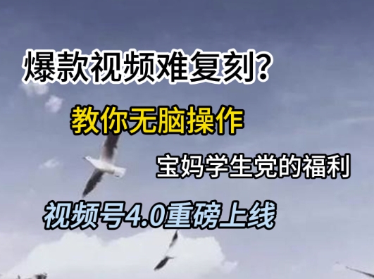视频号4.0重磅上线，爆款视频难复刻？教你无脑操作宝妈学生党的福利-副业宝典