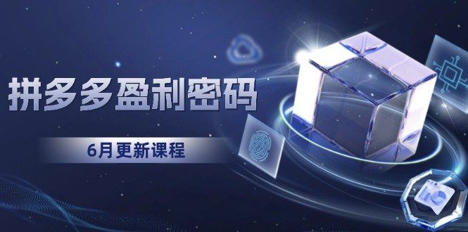 （15005期）拼多多盈利密码：从烧钱推广到印钞模型，底层逻辑重构指南（6月更新）-副业宝典