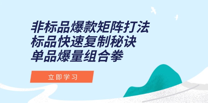 非标品爆款矩阵打法，标品快速复制秘诀，单品爆量组合拳-副业宝典