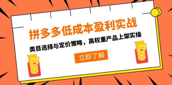 拼多多低成本盈利实战，类目选择与定价策略，高权重产品上架实操-副业宝典