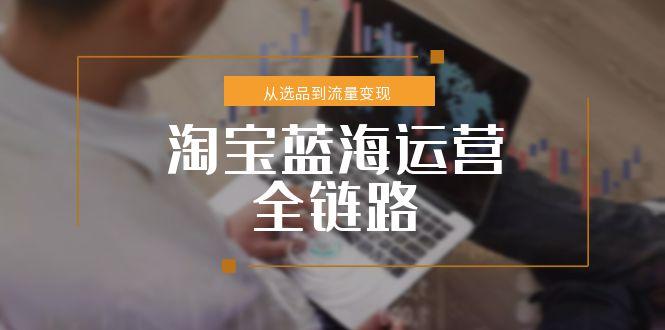 淘宝蓝海运营全链路，从选品到流量变现，小类目突围完整方案-副业宝典